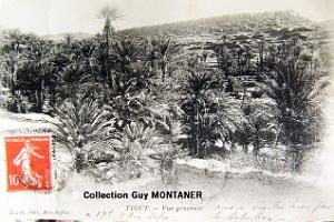 TIOUT 002- COLLECTION MONTANER_2